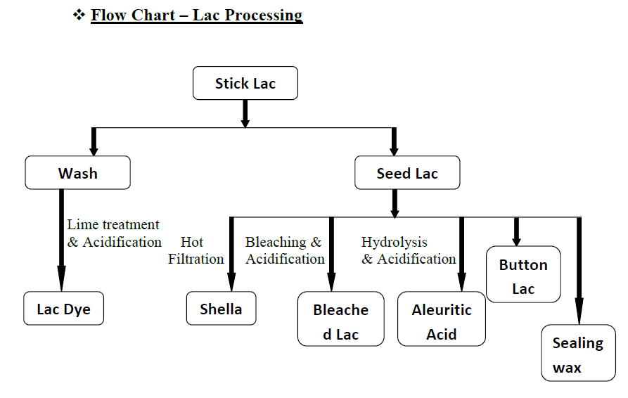 Lac Processing